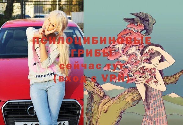 соль курить ск Богданович