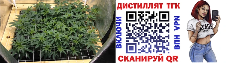 МЕГА tor  Дятьково  ТГК вейп 