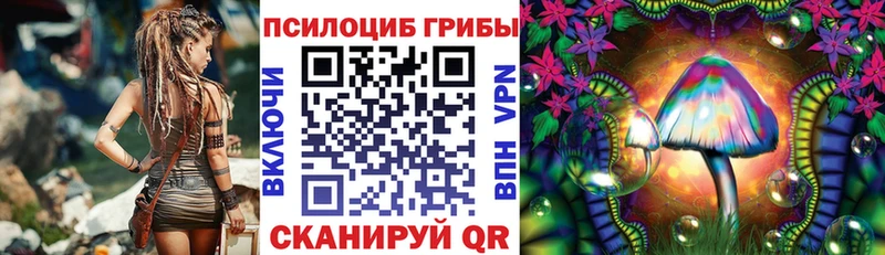 Псилоцибиновые грибы мухоморы  Дятьково 